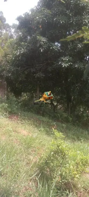 Chácara com 1 quarto à venda, 1000m2 em Ponunduva, Cajamar - SP - imagem 4 Foto 4 de Chácara com 1 quarto à venda, 1000m2 em Ponunduva, Cajamar - SP