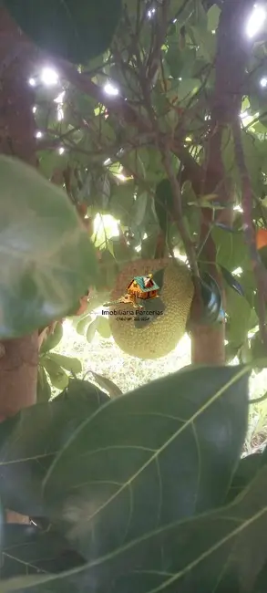 Chácara com 1 quarto à venda, 1000m2 em Ponunduva, Cajamar - SP - imagem 5 Foto 5 de Chácara com 1 quarto à venda, 1000m2 em Ponunduva, Cajamar - SP