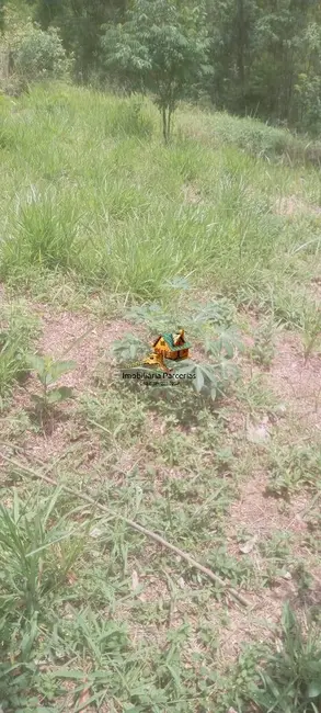 Chácara com 1 quarto à venda, 1000m2 em Ponunduva, Cajamar - SP - imagem 9 Foto 9 de Chácara com 1 quarto à venda, 1000m2 em Ponunduva, Cajamar - SP