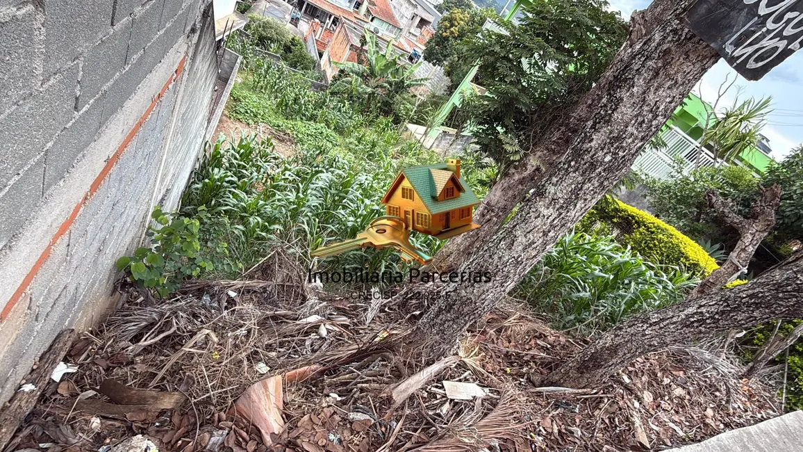 Foto 4 de Terreno / Lote à venda, 282m2 em Jardim Isaura, Santana De Parnaiba - SP