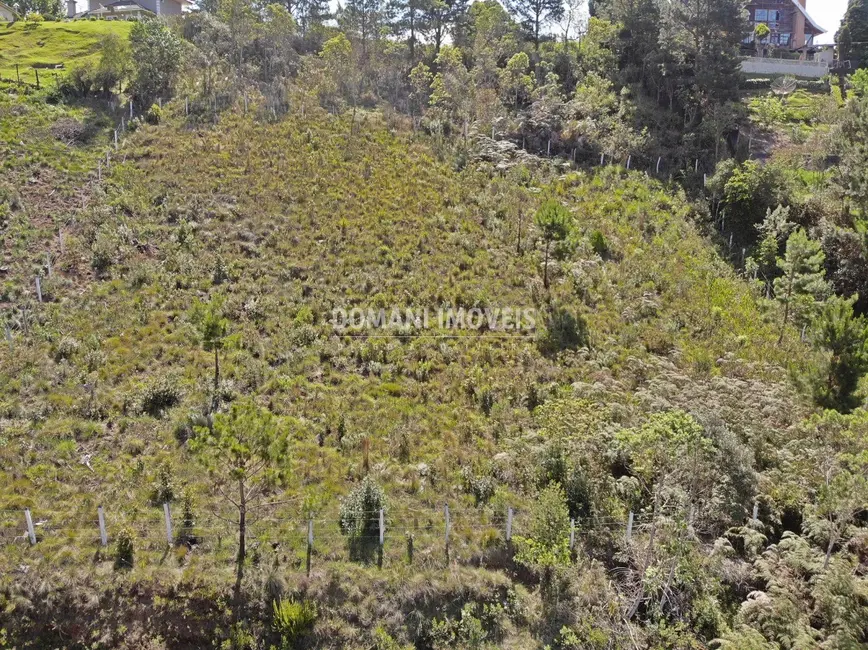 Foto 4 de Terreno / Lote à venda, 1800m2 em Campos Do Jordao - SP