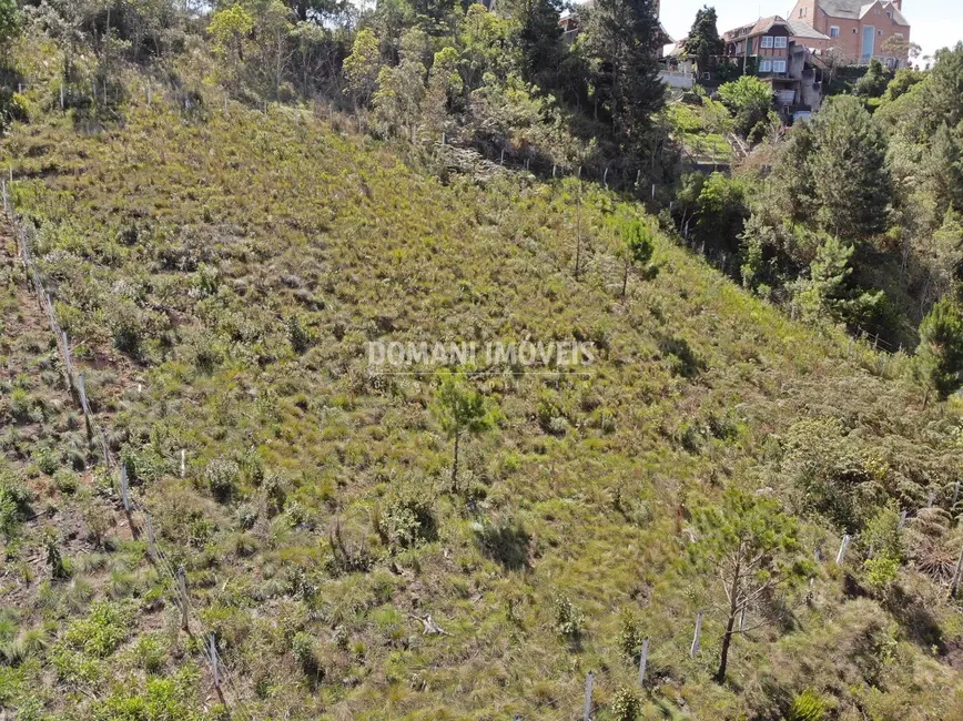 Foto 1 de Terreno / Lote à venda, 1800m2 em Campos Do Jordao - SP