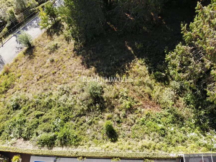 Foto 1 de Terreno / Lote à venda, 1600m2 em Campos Do Jordao - SP