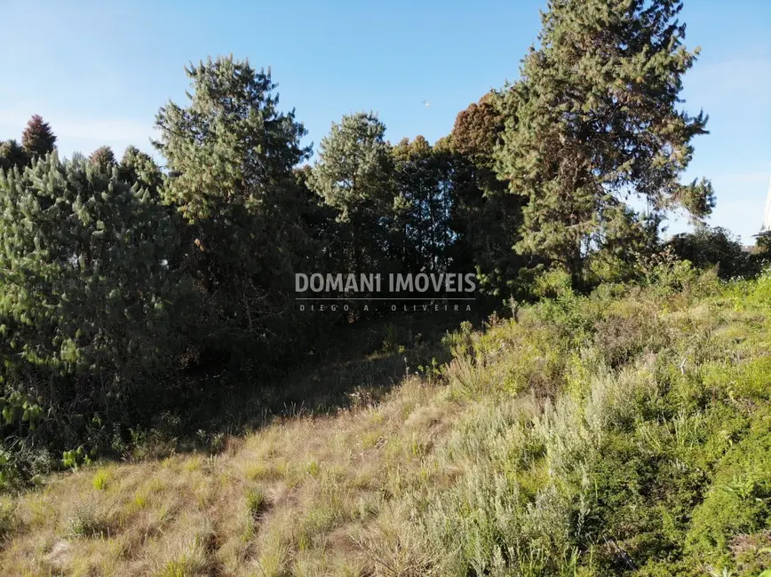 Foto 8 de Terreno / Lote à venda, 1600m2 em Campos Do Jordao - SP