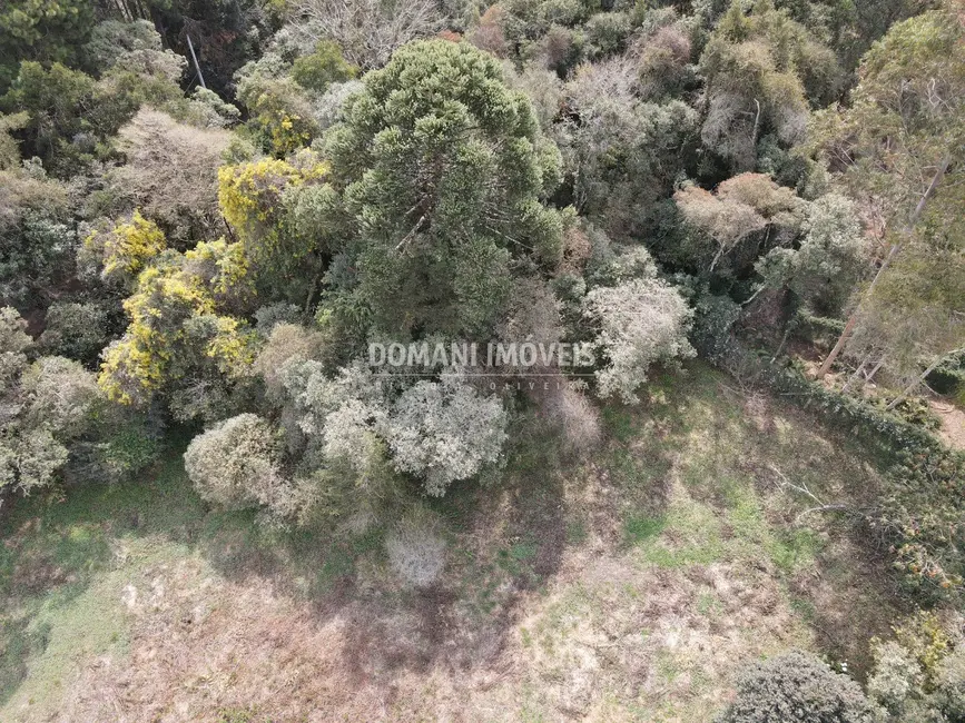 Foto 3 de Terreno / Lote à venda, 2400m2 em Campos Do Jordao - SP