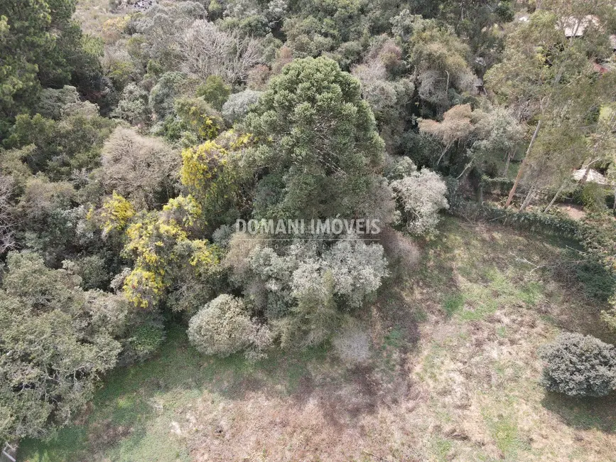 Foto 7 de Terreno / Lote à venda, 2400m2 em Campos Do Jordao - SP
