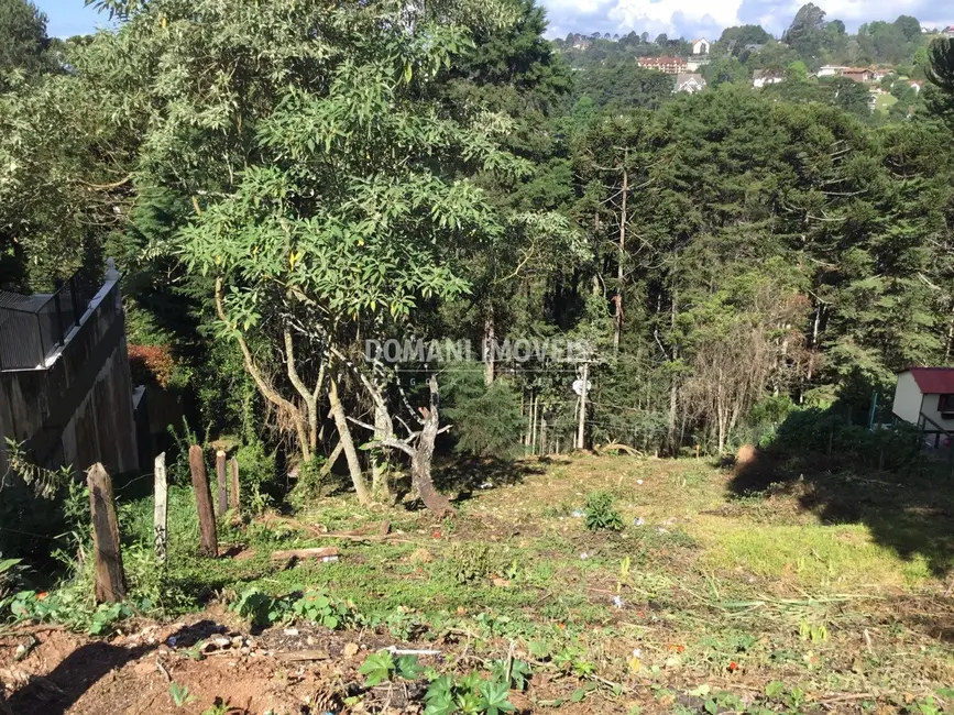 Foto 4 de Terreno / Lote à venda, 920m2 em Campos Do Jordao - SP