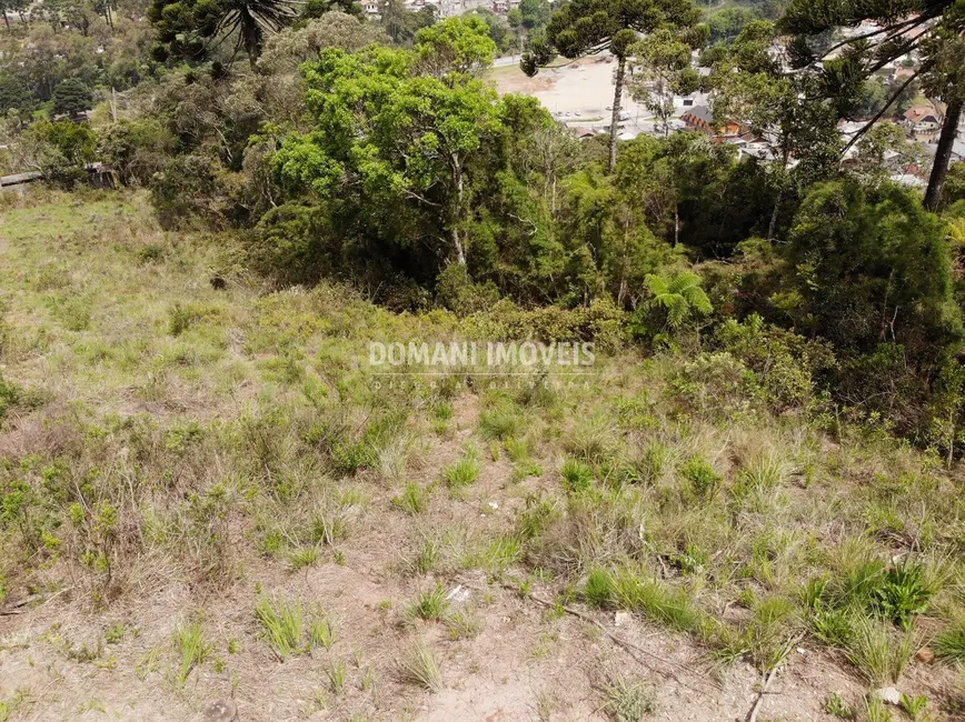 Foto 4 de Terreno / Lote à venda, 1750m2 em Campos Do Jordao - SP