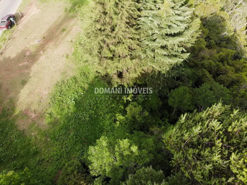 Terreno / Lote à venda, 1120m2 em Campos Do Jordao - SP - imagem 7 Foto 7 de Terreno / Lote à venda, 1120m2 em Campos Do Jordao - SP