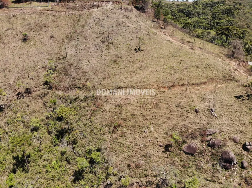 Foto 3 de Terreno / Lote à venda, 35000m2 em Campos Do Jordao - SP