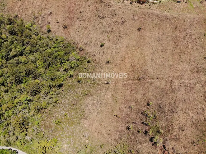 Foto 9 de Terreno / Lote à venda, 35000m2 em Campos Do Jordao - SP