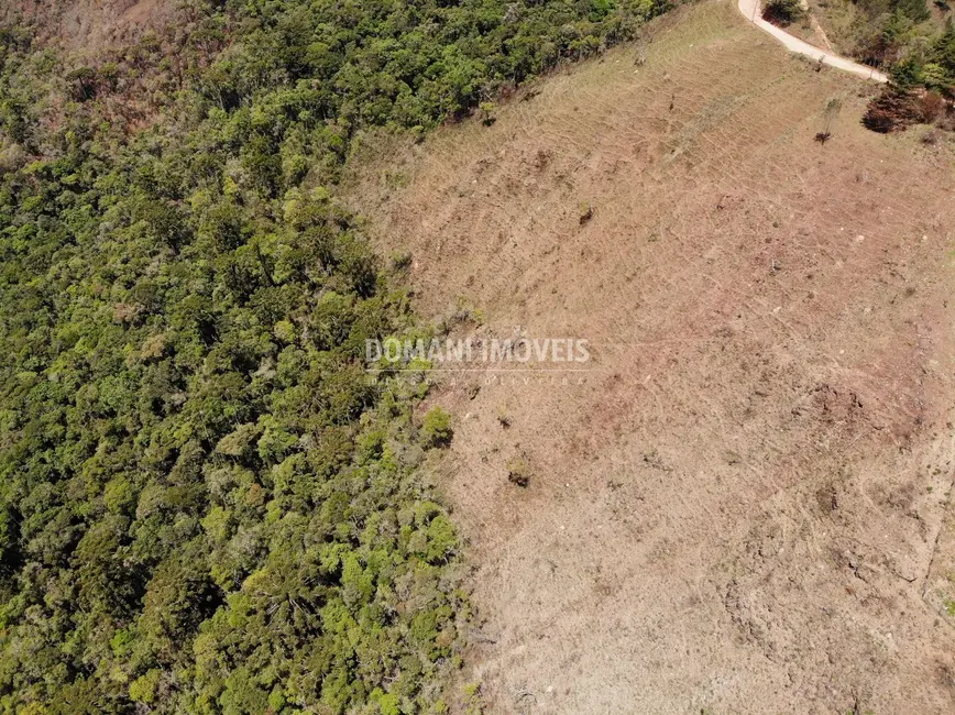 Foto 2 de Terreno / Lote à venda, 35000m2 em Campos Do Jordao - SP