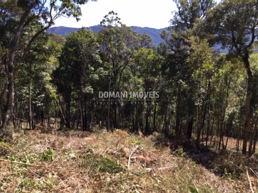 Foto 4 de Terreno / Lote à venda, 2690m2 em Campos Do Jordao - SP