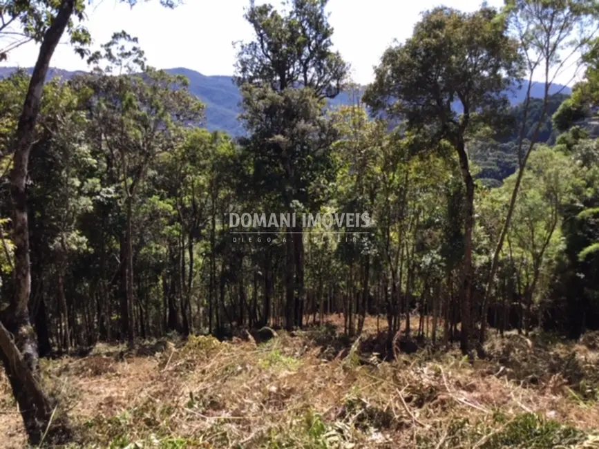Foto 9 de Terreno / Lote à venda, 2690m2 em Campos Do Jordao - SP