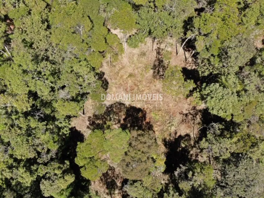 Foto 2 de Terreno / Lote à venda, 2690m2 em Campos Do Jordao - SP