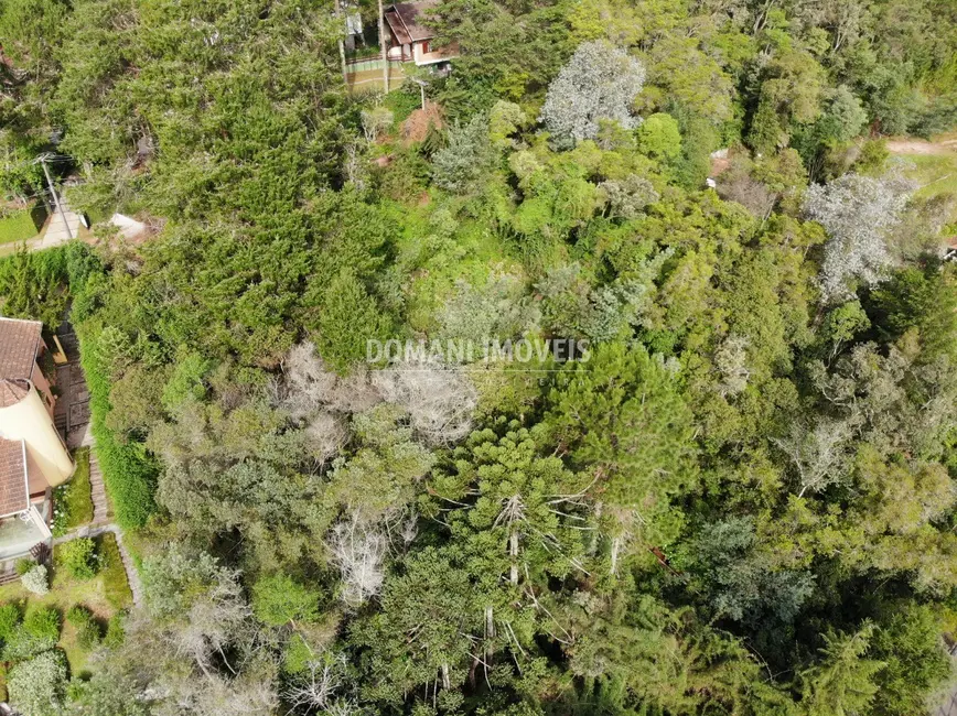 Foto 6 de Terreno / Lote à venda, 1760m2 em Campos Do Jordao - SP