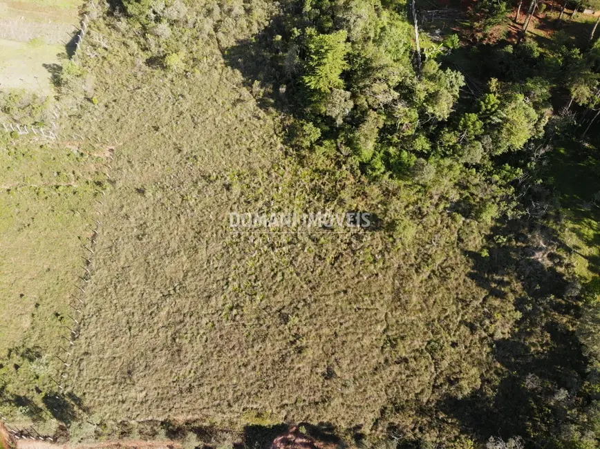 Foto 8 de Terreno / Lote à venda, 5620m2 em Campos Do Jordao - SP