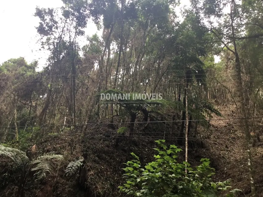 Foto 2 de Terreno / Lote à venda, 1010m2 em Campos Do Jordao - SP