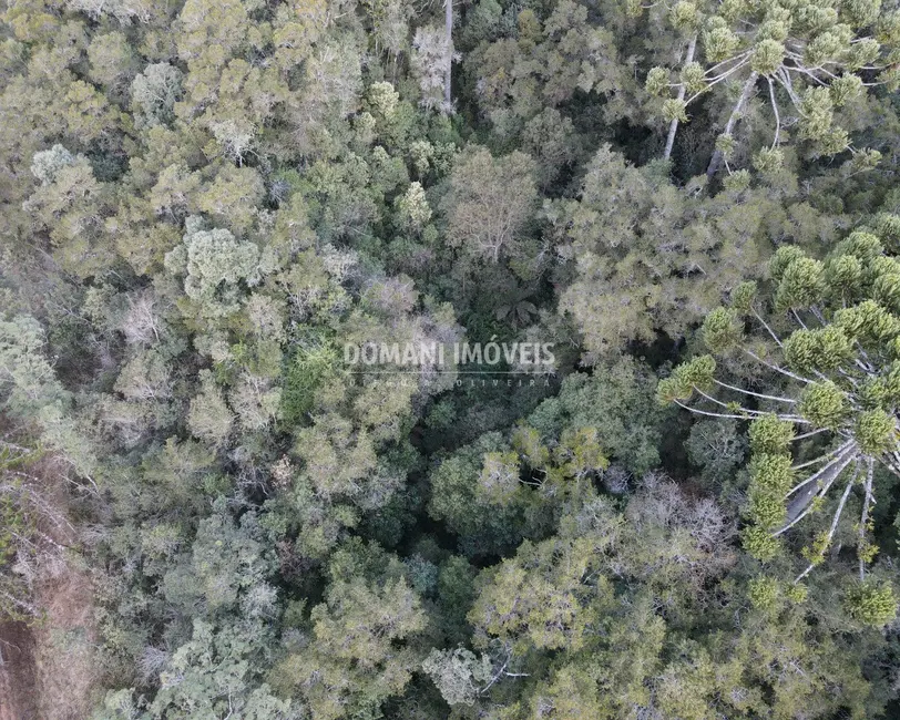 Foto 8 de Terreno / Lote à venda, 8100m2 em Campos Do Jordao - SP