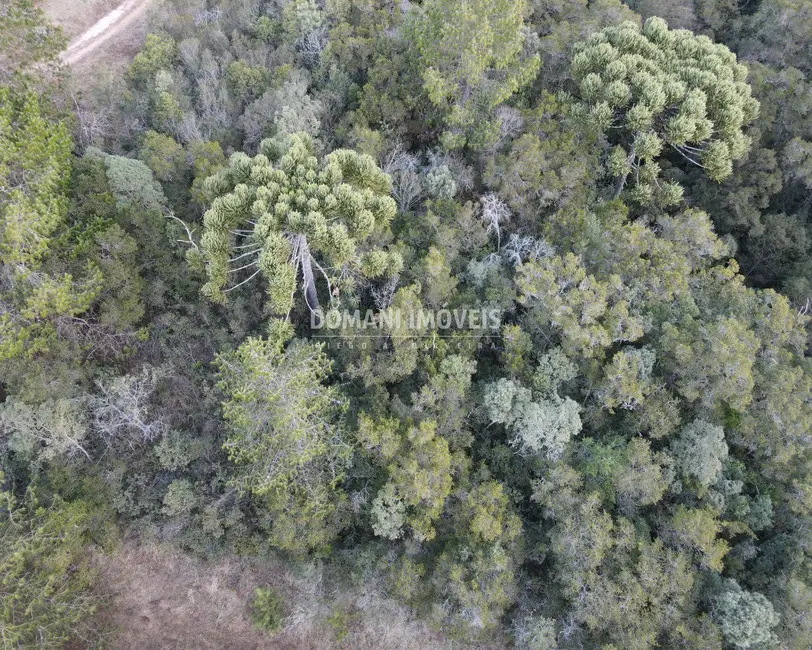 Foto 2 de Terreno / Lote à venda, 8100m2 em Campos Do Jordao - SP