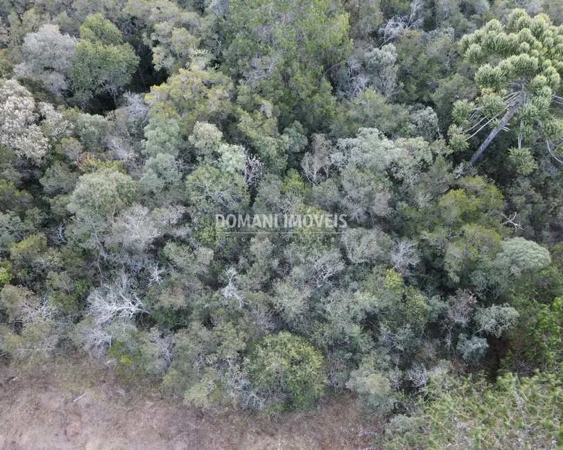 Foto 1 de Terreno / Lote à venda, 8100m2 em Campos Do Jordao - SP