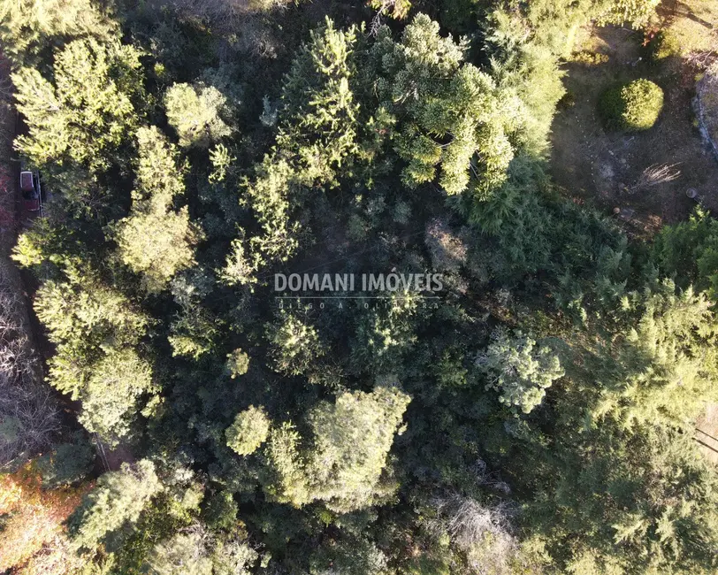 Terreno / Lote à venda, 1030m2 em Campos Do Jordao - SP - imagem 4 Foto 4 de Terreno / Lote à venda, 1030m2 em Campos Do Jordao - SP