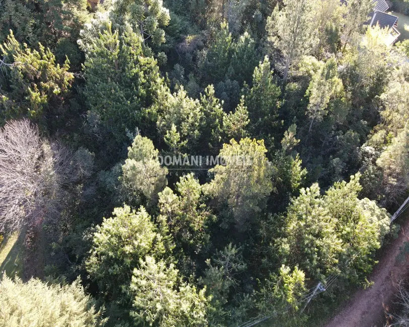 Foto 1 de Terreno / Lote à venda, 1030m2 em Campos Do Jordao - SP