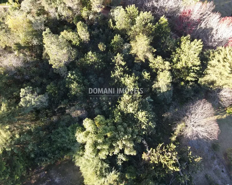 Terreno / Lote à venda, 1030m2 em Campos Do Jordao - SP - imagem 6 Foto 6 de Terreno / Lote à venda, 1030m2 em Campos Do Jordao - SP