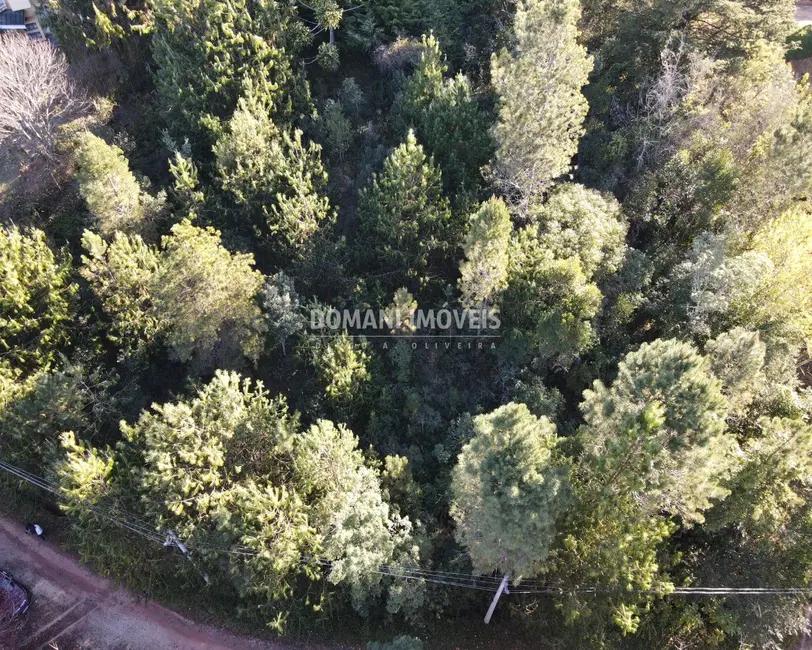 Terreno / Lote à venda, 1030m2 em Campos Do Jordao - SP - imagem 8 Foto 8 de Terreno / Lote à venda, 1030m2 em Campos Do Jordao - SP