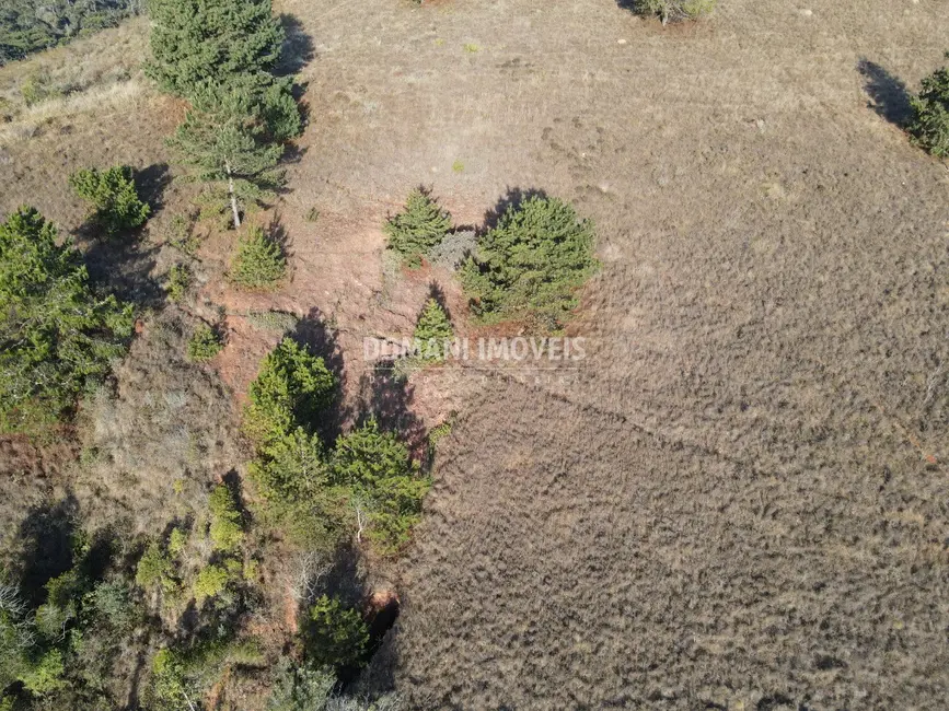Foto 4 de Terreno / Lote à venda, 1250m2 em Campos Do Jordao - SP