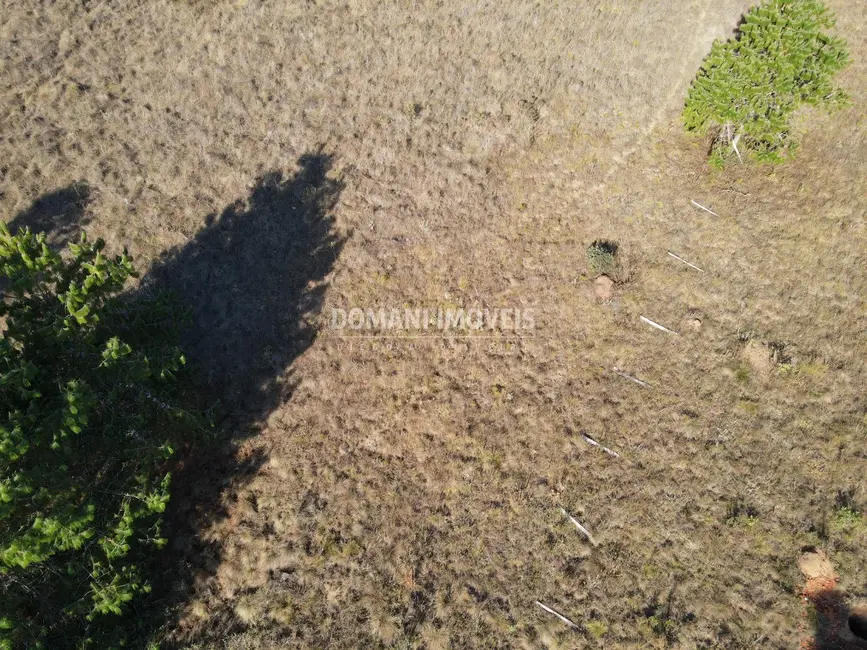 Foto 8 de Terreno / Lote à venda, 1100m2 em Campos Do Jordao - SP