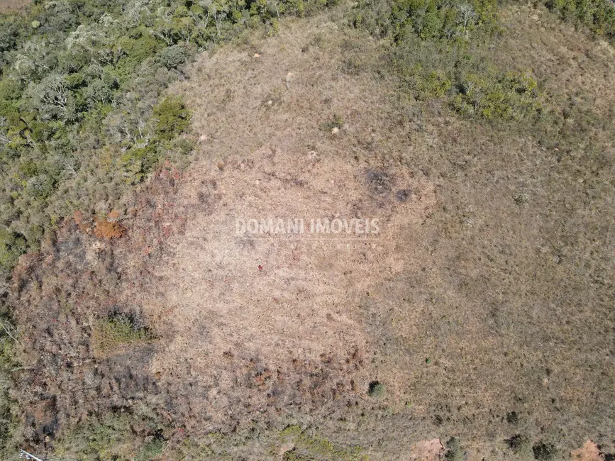 Terreno / Lote à venda, 27300m2 em Campos Do Jordao - SP - imagem 9 Foto 9 de Terreno / Lote à venda, 27300m2 em Campos Do Jordao - SP
