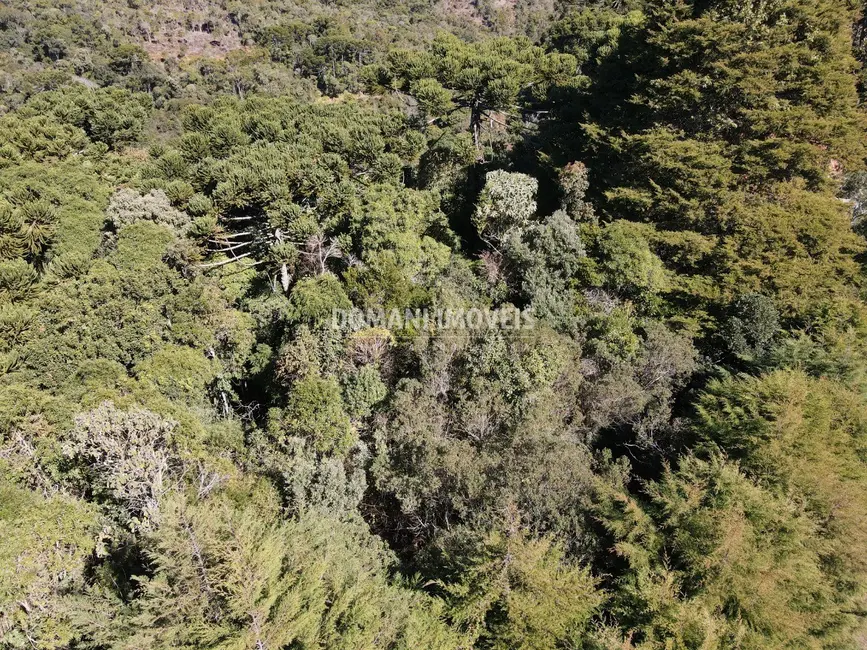 Foto 1 de Terreno / Lote à venda, 4400m2 em Campos Do Jordao - SP