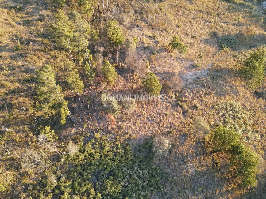 Terreno / Lote à venda, 6200m2 em Campos Do Jordao - SP - imagem 8 Foto 8 de Terreno / Lote à venda, 6200m2 em Campos Do Jordao - SP