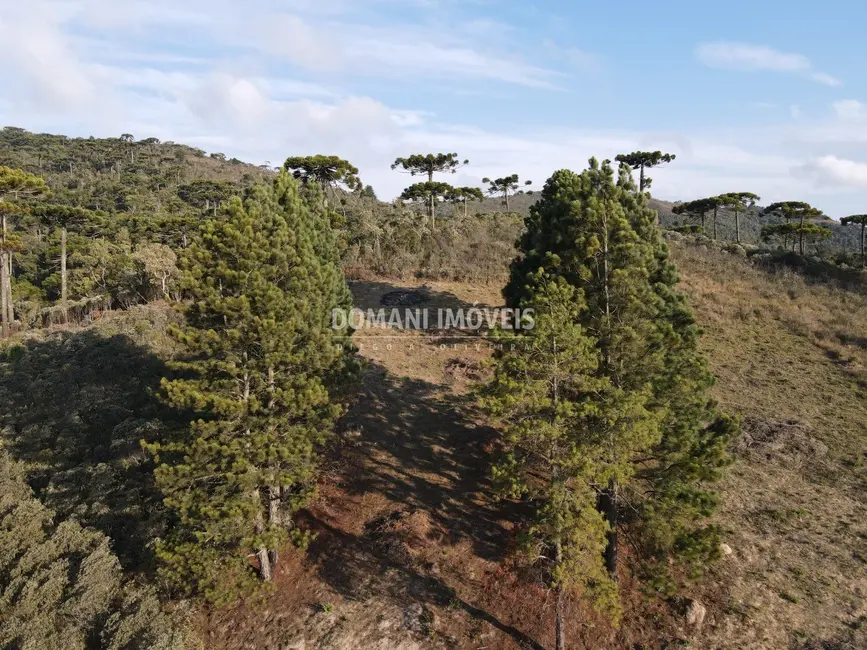 Foto 2 de Terreno / Lote à venda, 1360m2 em Campos Do Jordao - SP