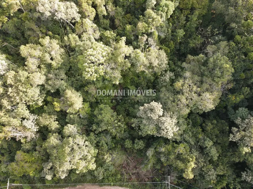 Foto 7 de Terreno / Lote à venda, 1030m2 em Campos Do Jordao - SP