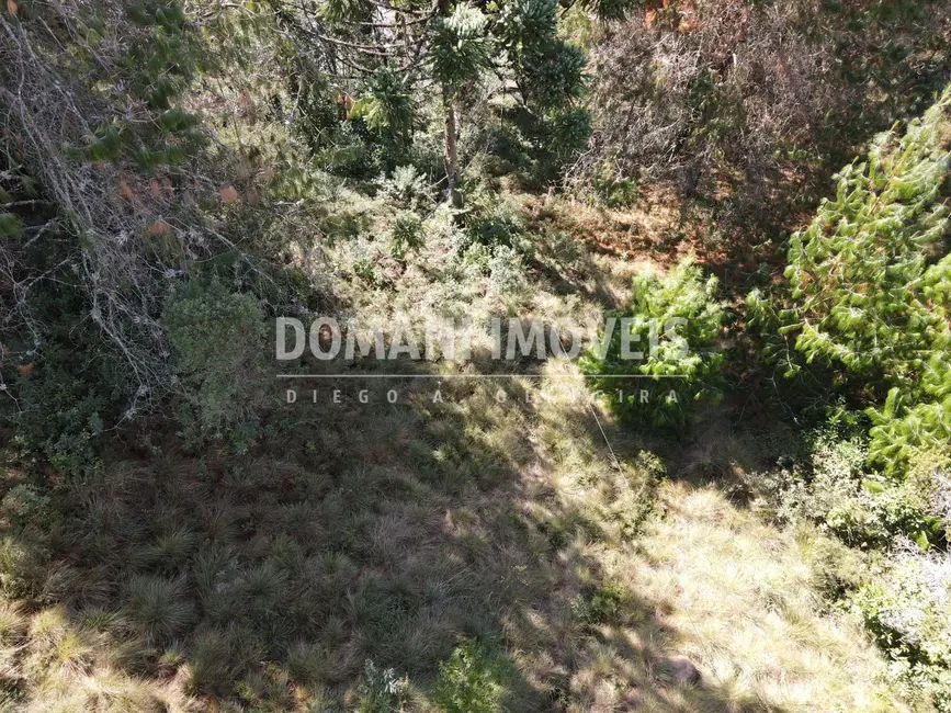 Foto 3 de Terreno / Lote à venda, 2450m2 em Campos Do Jordao - SP