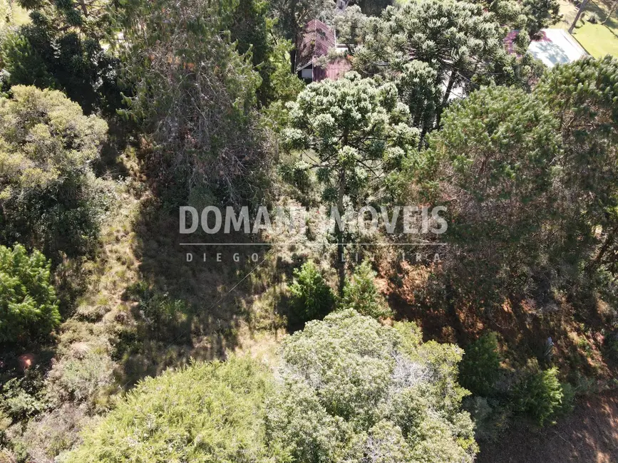 Foto 5 de Terreno / Lote à venda, 2450m2 em Campos Do Jordao - SP