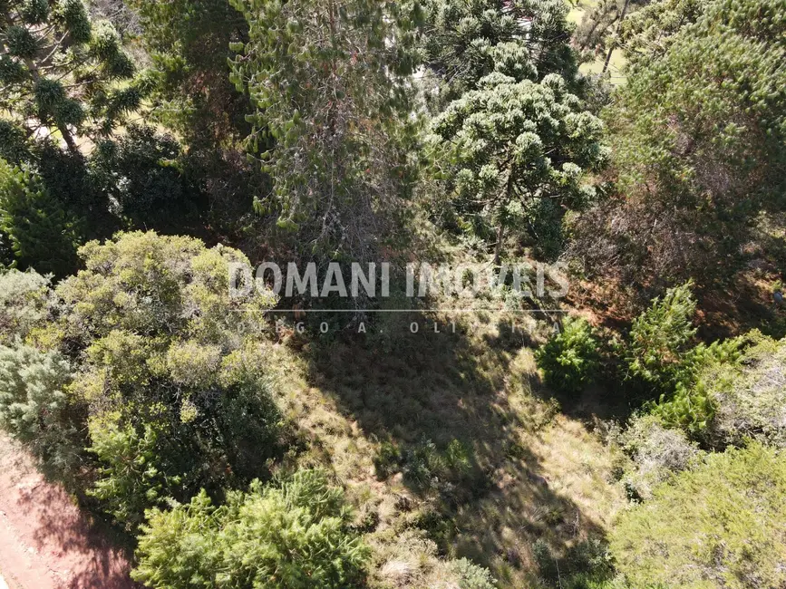 Foto 7 de Terreno / Lote à venda, 2450m2 em Campos Do Jordao - SP