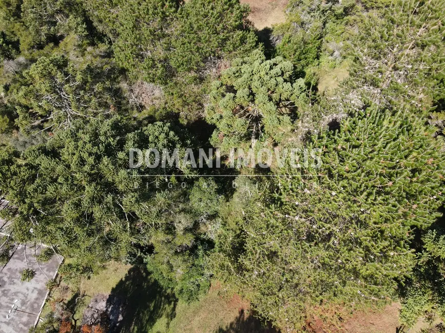 Foto 9 de Terreno / Lote à venda, 2450m2 em Campos Do Jordao - SP