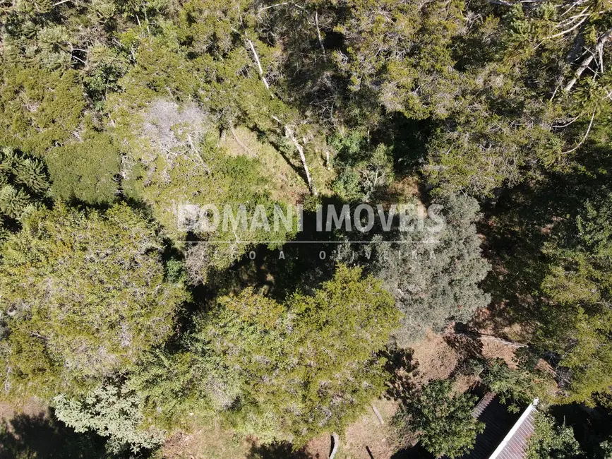 Foto 4 de Terreno / Lote à venda, 2450m2 em Campos Do Jordao - SP