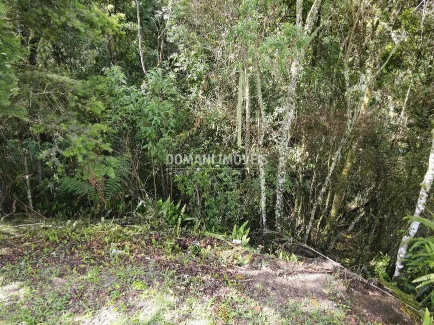 Terreno / Lote à venda, 1120m2 em Campos Do Jordao - SP - imagem 5 Foto 5 de Terreno / Lote à venda, 1120m2 em Campos Do Jordao - SP