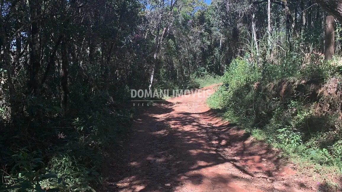 Foto 8 de Terreno / Lote à venda, 5050m2 em Campos Do Jordao - SP