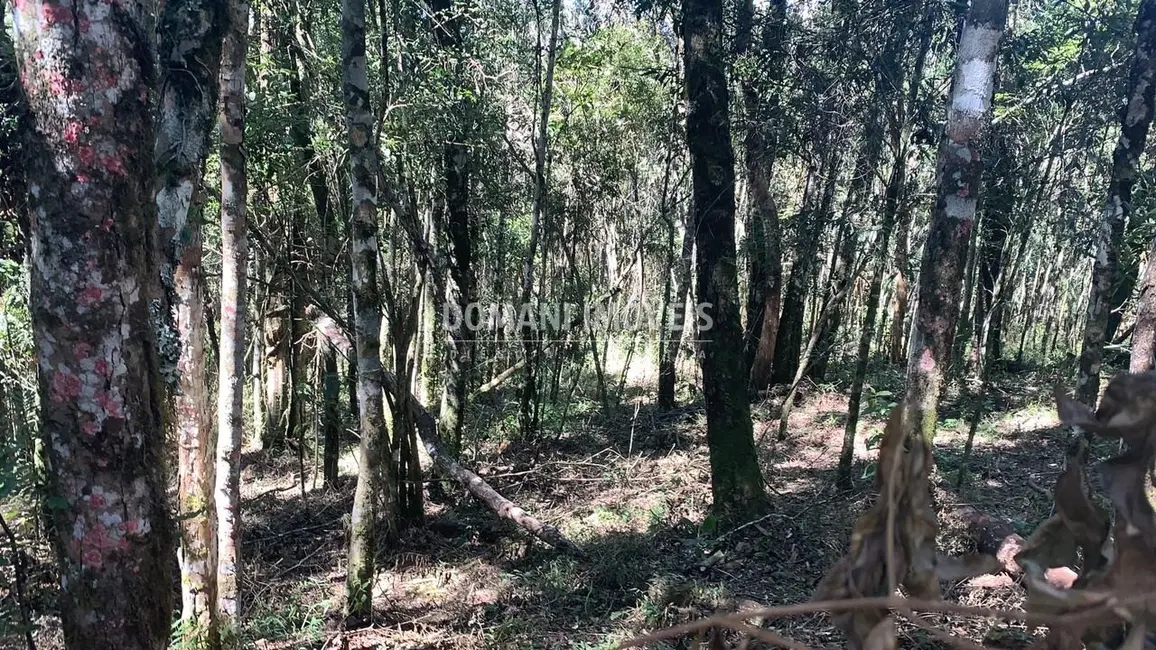 Foto 7 de Terreno / Lote à venda, 5050m2 em Campos Do Jordao - SP