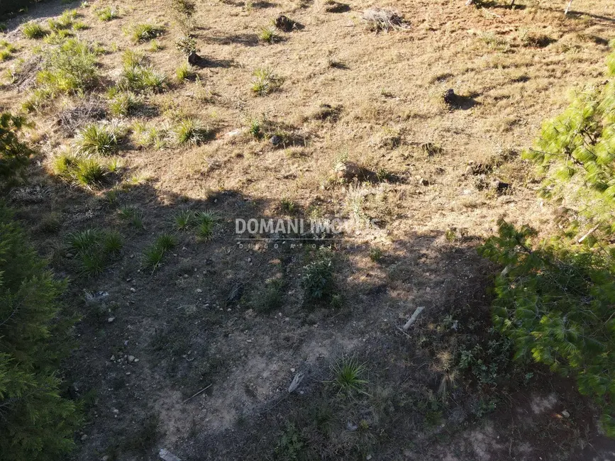 Terreno / Lote à venda, 2700m2 em Campos Do Jordao - SP - imagem 2 Foto 2 de Terreno / Lote à venda, 2700m2 em Campos Do Jordao - SP