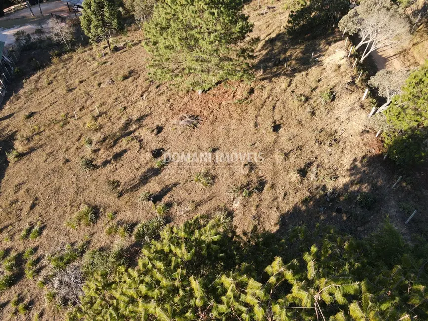 Terreno / Lote à venda, 2700m2 em Campos Do Jordao - SP - imagem 5 Foto 5 de Terreno / Lote à venda, 2700m2 em Campos Do Jordao - SP