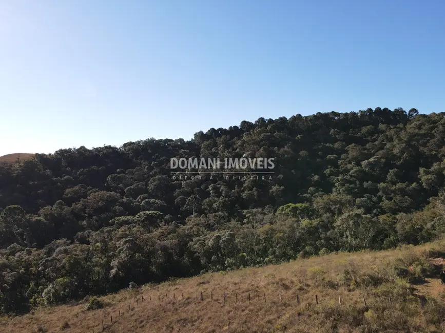 Terreno / Lote à venda, 1200m2 em Campos Do Jordao - SP - imagem 7 Foto 7 de Terreno / Lote à venda, 1200m2 em Campos Do Jordao - SP