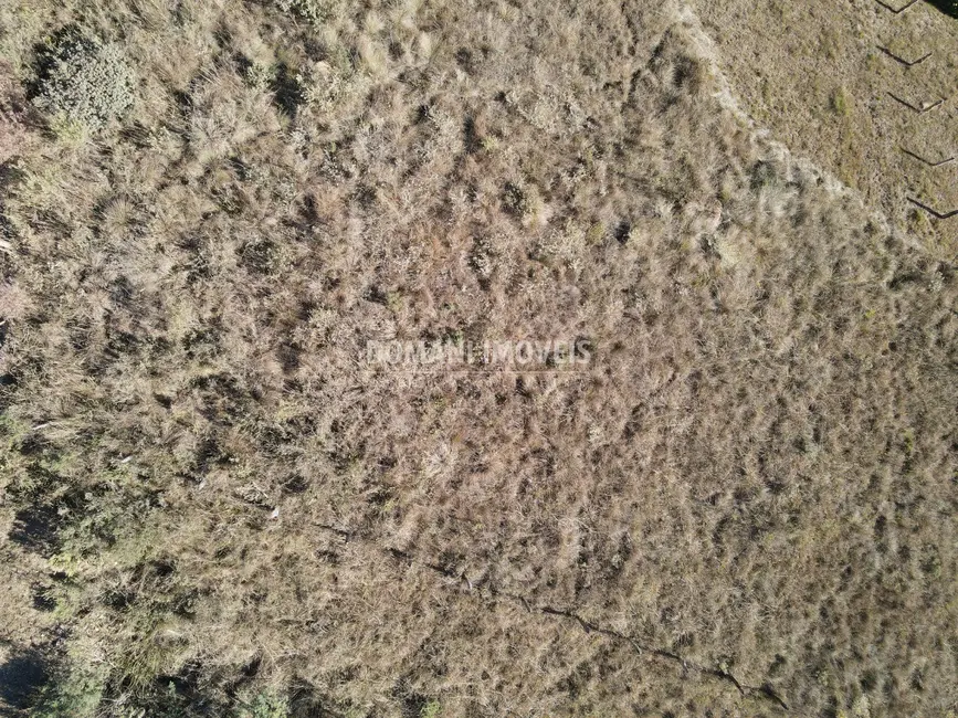 Terreno / Lote à venda, 1200m2 em Campos Do Jordao - SP - imagem 8 Foto 8 de Terreno / Lote à venda, 1200m2 em Campos Do Jordao - SP