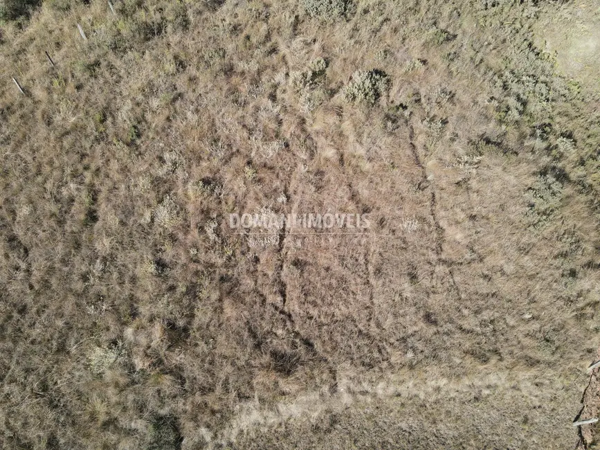 Terreno / Lote à venda, 1200m2 em Campos Do Jordao - SP - imagem 3 Foto 3 de Terreno / Lote à venda, 1200m2 em Campos Do Jordao - SP