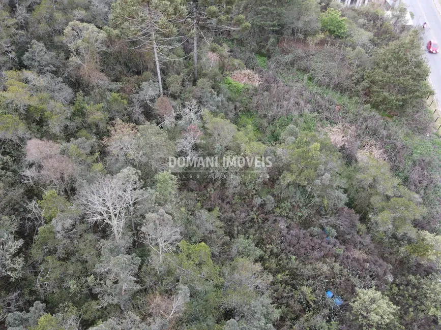 Terreno / Lote à venda, 17100m2 em Campos Do Jordao - SP - imagem 8 Foto 8 de Terreno / Lote à venda, 17100m2 em Campos Do Jordao - SP